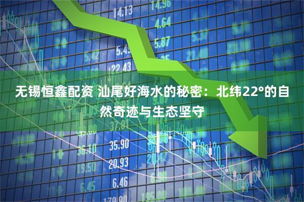 无锡恒鑫配资 汕尾好海水的秘密：北纬22°的自然奇迹与生态坚守