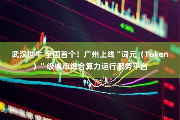武汉世牛 全国首个！广州上线“词元（Token）”级城市综合算力运行服务平台