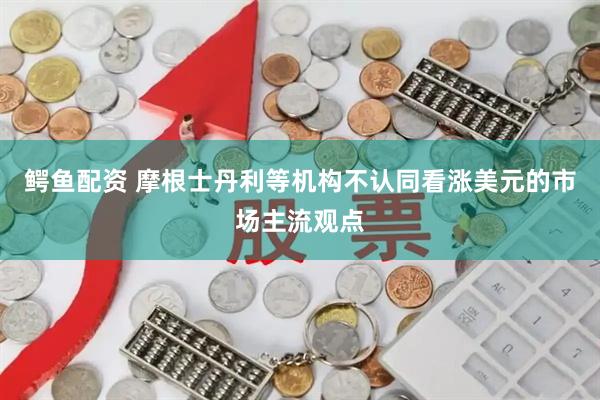 鳄鱼配资 摩根士丹利等机构不认同看涨美元的市场主流观点